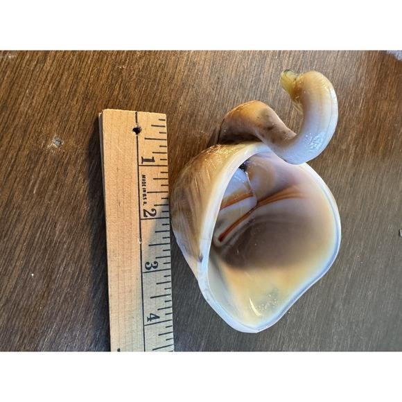 Vintage L.E. Smith Glass Caramel Slag Glass Swan Shaped Open Dish - Picture 5 of 5